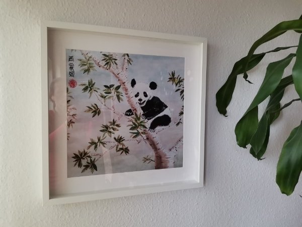 Kunstdruck, limitiert - Panda_im_Baum_2021 - Rahmen ca. 50 X 50 cm