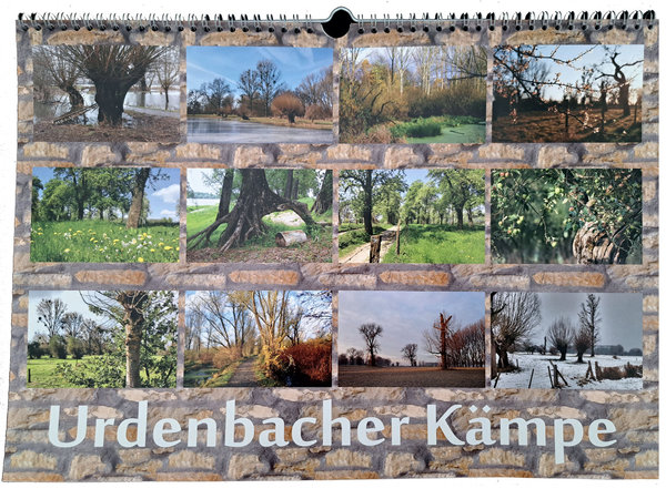 Kalender - Urdenbacher Kämpe 2024 / Auelandschaft - A3-Format quer